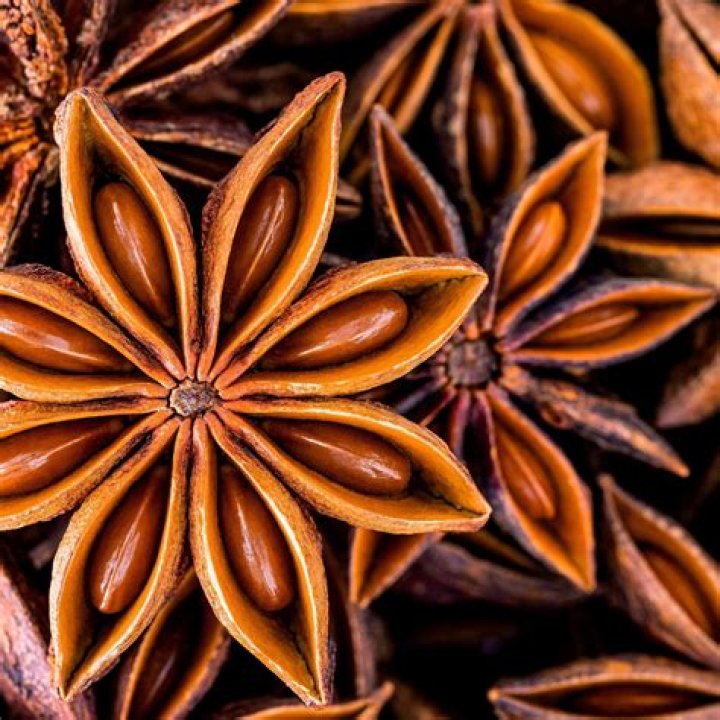 Anise Barka