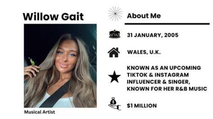 Willow Gait Net Worth